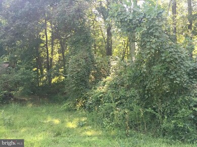 340 Brownsville Rd, Centreville, MD 21617 - photo 3