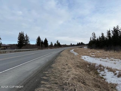 26220 Sterling Hwy, Anchor Point, AK 99556 - photo 2