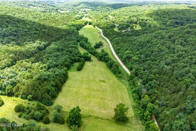 000 Farm Road 1182, Jenkins, MO 65605 - photo 6