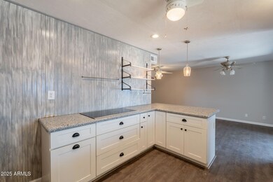 717 W Chilton St, Chandler, AZ 85225 - photo 4