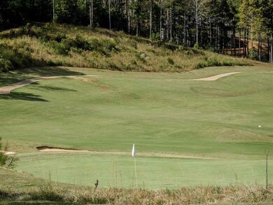 207 Colonial Trail Ct, Pittsboro, NC 27312 - photo 4