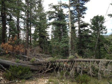 805 & 815 W Shale Cir unit ZVME E 138 & 139, Duck Creek Village, UT 84762 - photo 6