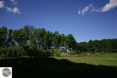 13506 S Bahia Vista Dr unit 17, Traverse City, MI 49684 - photo 4