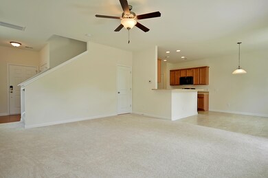 304 Sunny Springs Trail, Moncks Corner, SC 29461 - photo 7