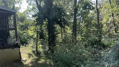 View of local wilderness