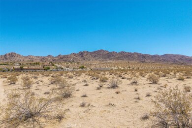 6224 Pelican Ave, Joshua Tree, CA 92252 - photo 4