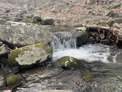 TBD Cub Creek Rd unit 1B, Massies Mill, VA 22967 - photo 2