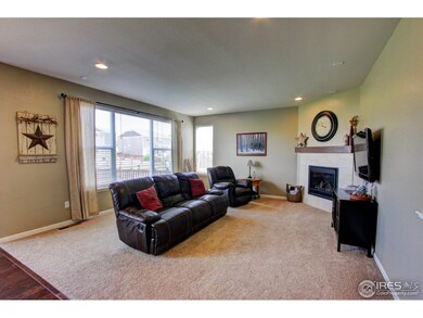 6736 Flintlock Rd, Timnath, CO 80547 - photo 3