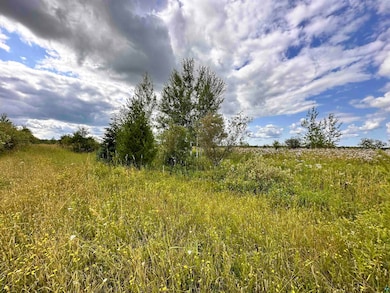 XXX Curry Rd unit Eileen, Eileen, WI 54856 - photo 5