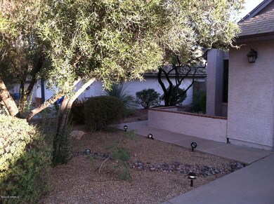4 - Front Yard Area
