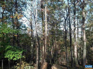 1450 Crawfords Climb unit RODES VALLEY FOOTHIL, Nellysford, VA 22958 - photo 6