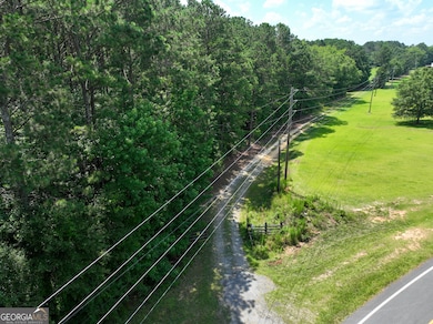 0 Silver Dollar Rd unit 10552561, Barnesville, GA 30204 - photo 4