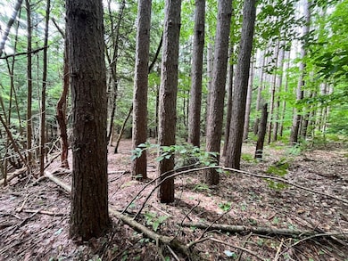 503 Centerville Rd, Pulaski, NY 13142 - photo 5