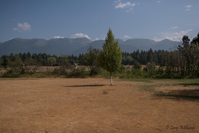 Views of Swan Mt. Range
