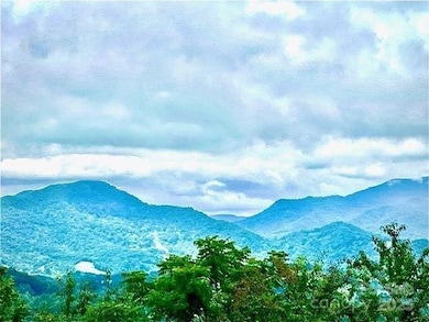 114 Nesting Ridge, Waynesville, NC 28785 - photo 2