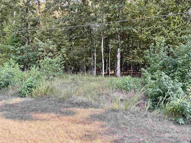 00 Riverbend Dr, Clinton, AR 72031 - photo 2