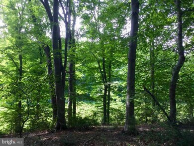 0 Canterbury Loop unit VAKG2007002, King George, VA 22485 - photo 5