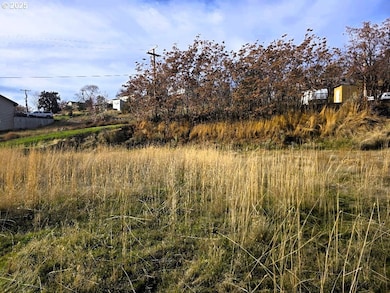 0 Elrod Place unit 521004344, Maupin, OR 97037 - photo 3