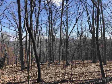 0 Norwood Rd unit 323358, Norwood, VA 24581 - photo 6