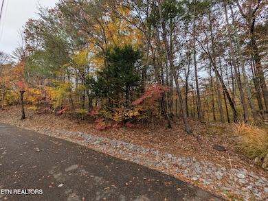 PXL_20251103_201422269