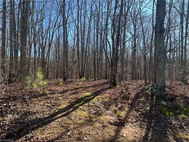 0 Westwood Dr, Seagrove, NC 27341 - photo 5