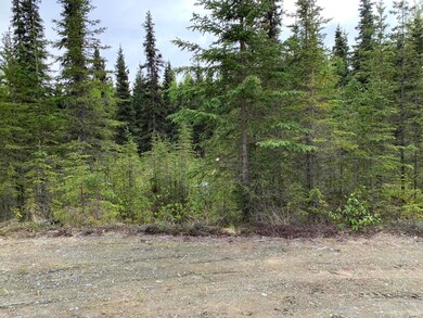 L7 Terpsichore Ct, Kasilof, AK 99610 - photo 2