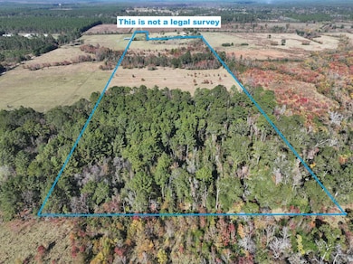 2901 Bailey Rd, Leesville, LA 71446 - photo 7