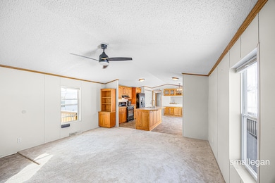 4843 Gretchen Ave NW, Comstock Park, MI 49321 - photo 3