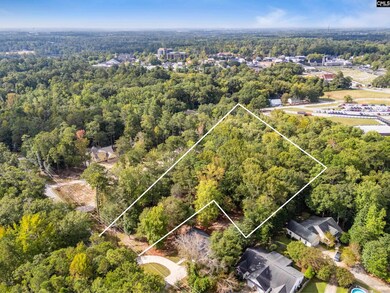 0 Harmon St unit 622254, Lexington, SC 29072 - photo 3