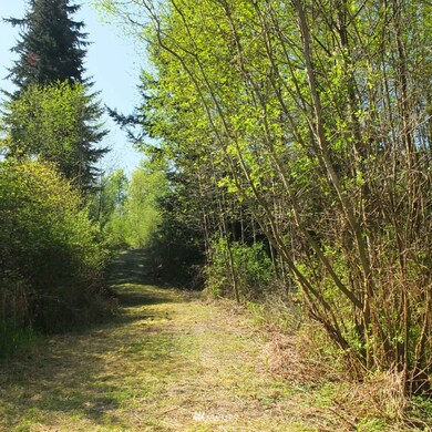 unlisted-address, Stanwood, WA 98292 - photo 7