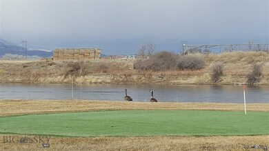 Geese at the Golf Course