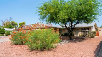 tempe-19