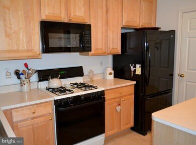 223 Arbor Vista Ln, Owings Mills, MD 21117 - photo 7