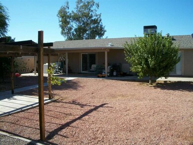 backyard2