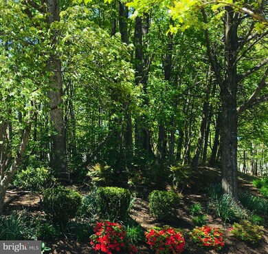 12101 Greenway Ct unit 210, Fairfax, VA 22033 - photo 2