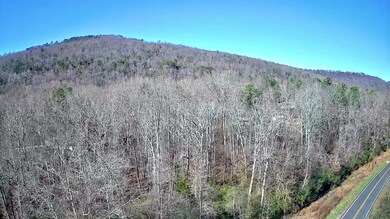 0 Woodmont Place unit 1504974, Trenton, GA 30752 - photo 7