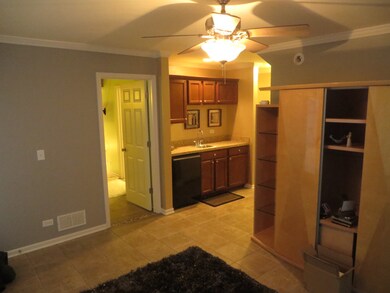 1002 Celebration Dr, Aurora, IL 60504 - photo 2