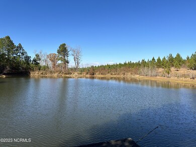 pond from the dock