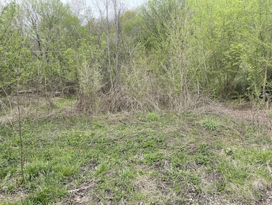 16 Logan Rd, Page, WV 25119 - photo 6