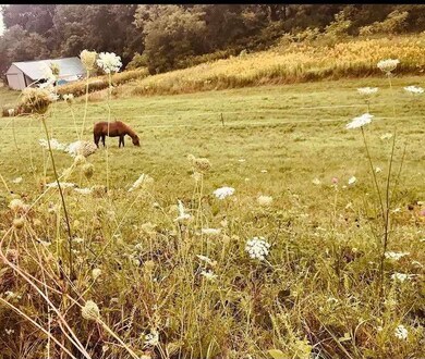 L2 Julia Rd, Clifton, WI 54618 - photo 3