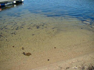 37 Florence Ln, Poland, ME 04274 - photo 6