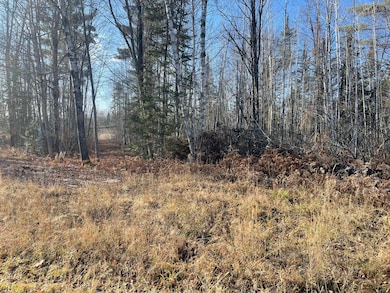 14730 County Road 25, Wawina Township, MN 55736 - photo 4