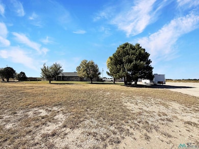 4933 N Dal Paso St, Hobbs, NM 88242 - photo 5