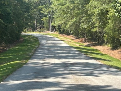 000 Georgia 220, Lincolnton, GA 30817 - photo 4