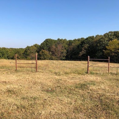 000 Farm Road 2080, Jenkins Township, MO - photo 5