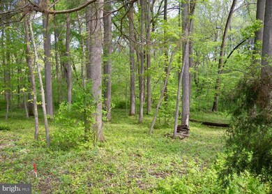 0 Palmyra Church Rd unit VASH120458, Edinburg, VA 22824 - photo 5