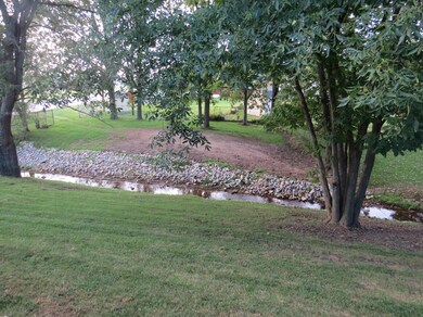 View of back yard from house
