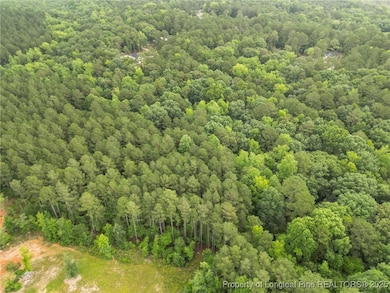 27 Chartres St, Fuquay-Varina, NC 27526 - photo 3