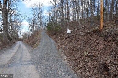 2023 Posey Hollow Rd, Berkeley Springs, WV 25411 - photo 2