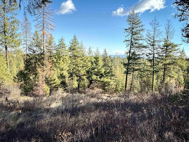 TBD Olinger (Hammer) Rd, Springdale, WA 99173 - photo 4